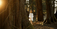 Lost In The Woods Claire Ryann Crosby GIF