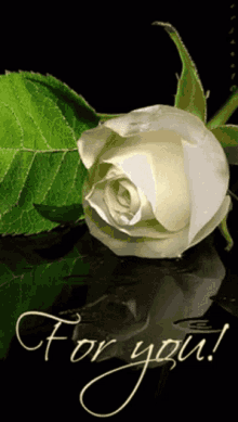 For You I Love You GIF - For You I Love You White Rose GIFs