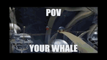 Whale Pov GIF - Whale Pov Monkey Ball GIFs