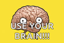 Brain Big Brain GIF