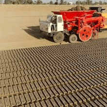 a truck is driving through a field filled with bricks .