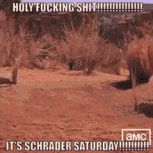 Hank Schrader Saturday Hank Shrader Saturday GIF - Hank Schrader Saturday Hank Shrader Saturday Schrader Saturday GIFs