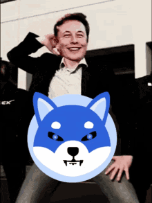 Shibada Elon GIF - Shibada Elon Elon Musk GIFs