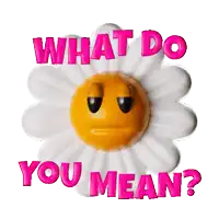 a flower with a face and the words what do you mean on it