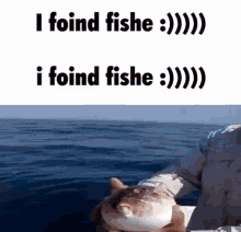 I Foind Fishe Blow Fish GIF - I Foind Fishe Blow Fish I Found A Fish GIFs