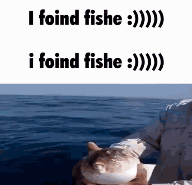 iffy - save gifs & videos 🦝 on X: meme video of fish from