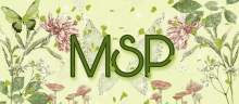Msp GIF - Msp GIFs