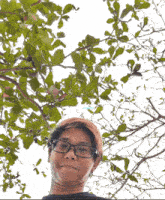 a man wearing glasses stands in front of a tree with a white background