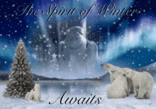 Spirit Of GIF - Spirit Of Winter GIFs