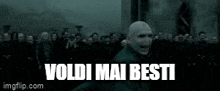 Voldi Voldemort GIF - Voldi Voldemort My Bestie GIFs