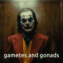 Joker Gametes And Gonads GIF - Joker Gametes And Gonads Irony GIFs