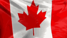 Canada Flag GIF - Canada Flag Wave GIFs