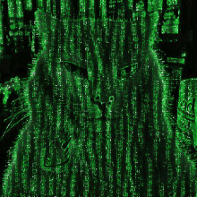 smudge smudge cat smudge the cat matrix the matrix