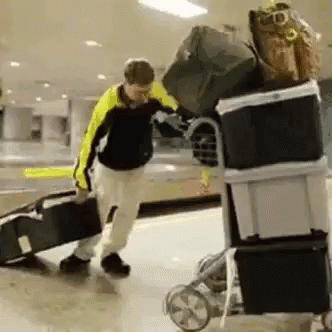 coming to america luggage gif