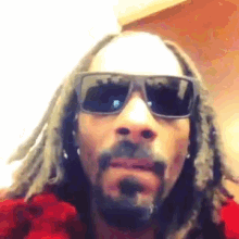 To Put It Lightly GIF - Jimmykimmellive Snooplion Eloquent GIFs