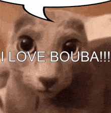 Kolby I Love Bouba GIF - Kolby I Love Bouba Bouba GIFs
