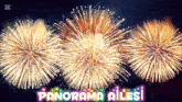 fireworks are displayed in a panorama ailesi poster