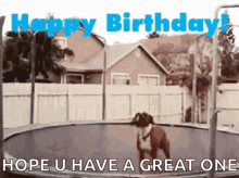 funny animals happy birthday trampoline