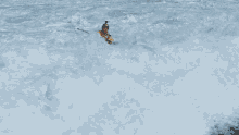 Kayaking Red Bull GIF - Kayaking Red Bull Kayaking In The Sea GIFs