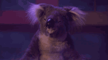 Koala House Party GIF - Koala House Party Getting High GIFs