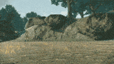 a video game character is standing in a field with trees and rocks