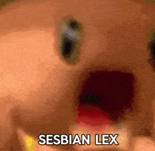 a close up of a person 's face with the words " serbian lex " on it
