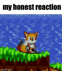 My Honest Reaction My Reaction GIF - My Honest Reaction My Reaction Sonic GIFs
