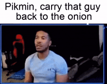 Pikmin Onion GIF - Pikmin Onion Carry That Guy GIFs