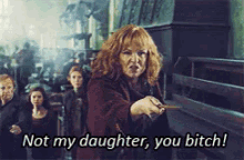 Not My Daughter, You Bitch! GIF