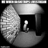 Basictrips Livestream GIF
