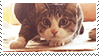 Stamp Cat Sticker - Stamp Cat Wiggling Stickers
