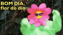 Bom Dia Flor Do Dia / Flores / Fantasia / Animação GIF - Good Morning Flower Flower Excited GIFs