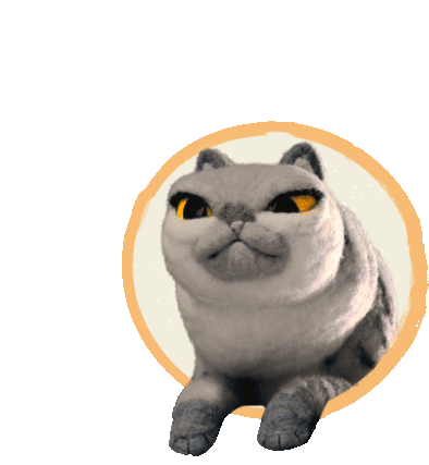 Angry Cat Cat Sticker