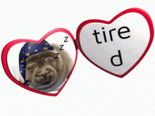 a heart shaped mirror with a picture of a cat and the words tire d on it