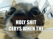 Cerys Cat GIF - Cerys Cat Funny Cat GIFs