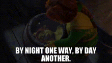 a picture of a turtle with the words `` by night one way , by day another '' .
