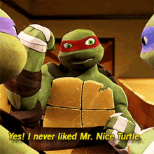 Tmnt Raphael GIF - Tmnt Raphael Yes I Never Liked Mr Nice Turtle GIFs