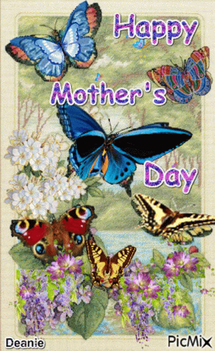 happy mothers day purple butterfly