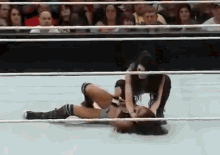 Aj And Paige GIF - Wrestling Wwe Fight GIFs