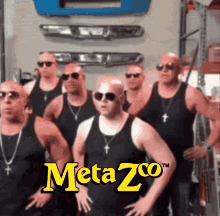 metazoo metazoo