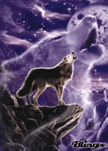howl to the other side wolf