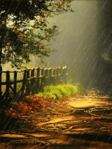 Rainy Day Raining GIF - Rainy Day Raining Its Raining - Discover & Share  GIFs