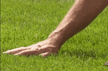Touch Grass Outside GIF - Touch Grass Grass Outside GIFs