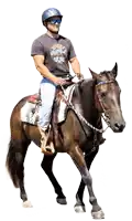 a man wearing a helmet and sunglasses is riding a horse with a t-shirt that says california on it