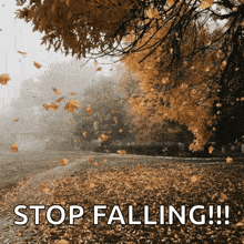 Autumn Leaves Falling GIF - Autumn Leaves Falling GIFs