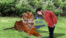 Subh Tiger GIF