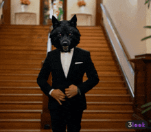 a man with a wolf mask on his head is standing on a set of stairs