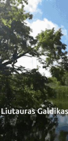 a picture of a tree with the words liutauras galima written below it