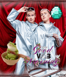 a picture of two men and a frog with the words good vib morning on it