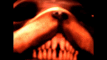 Shipwrecked 64 Scary GIF - Shipwrecked 64 Scary Videogame GIFs
